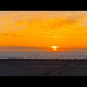 Meet your Posher, Miko